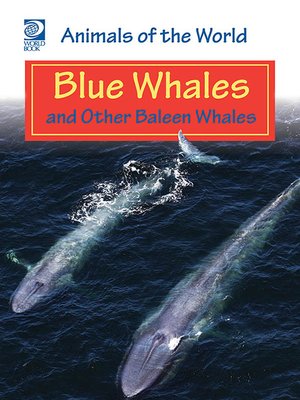 cover image of Blue Whales and Other Baleen Whales